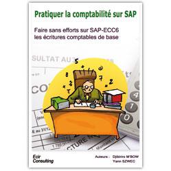 Pratiquer la comptabilité sur SAP